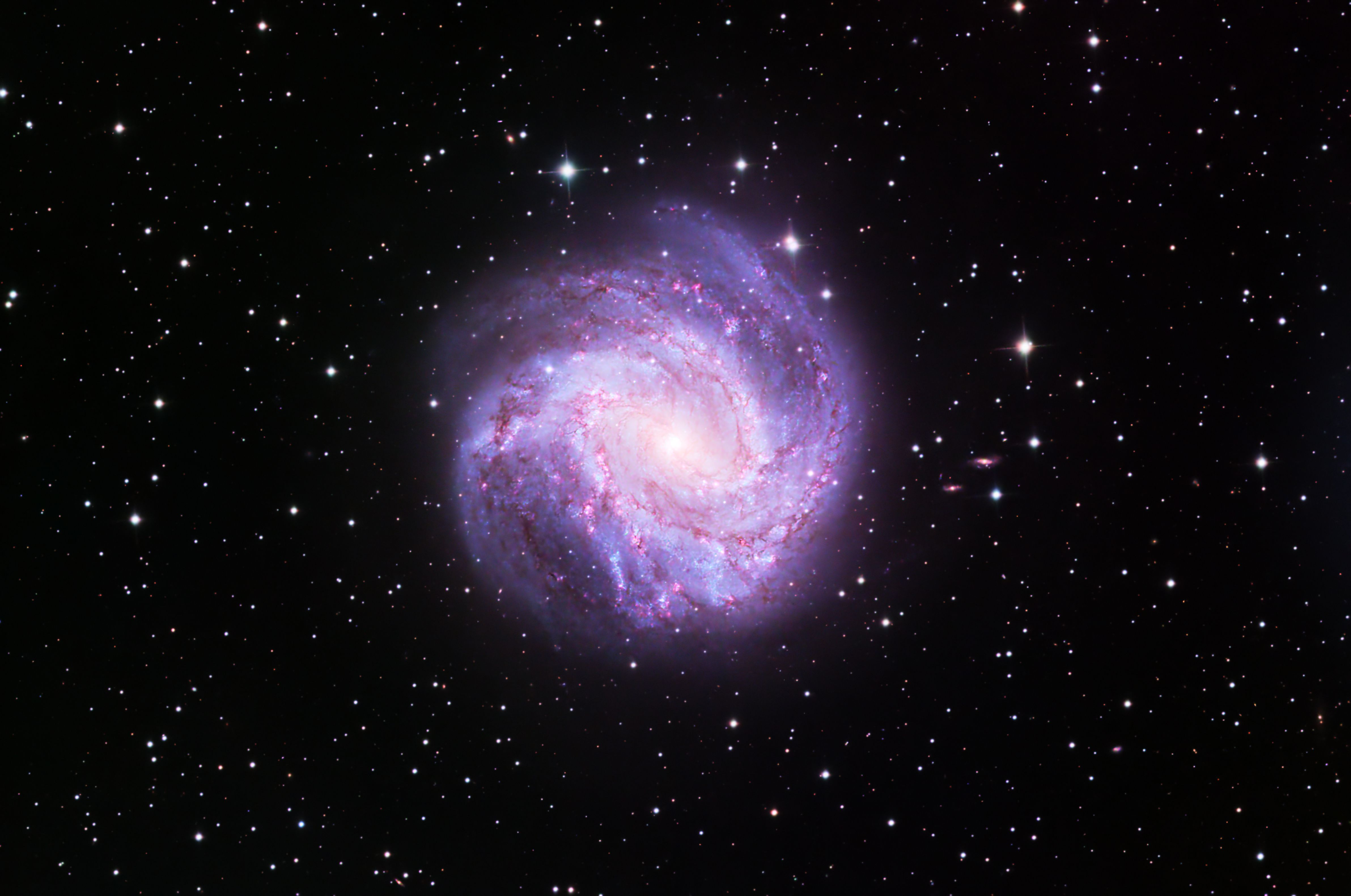 M83 Southern Pinwheel Galaxy | Telescope Live